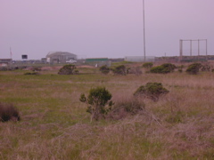 DSCN1786.JPG