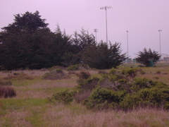 DSCN1788.JPG