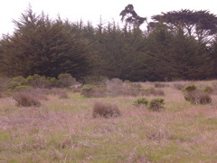 DSCN1790.JPG