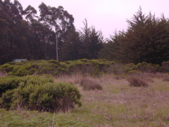 DSCN1791.JPG