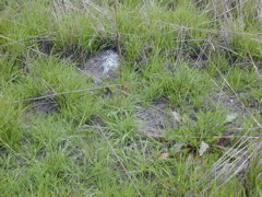 DSCN1794.JPG