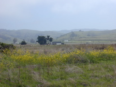 DSCN1795.JPG