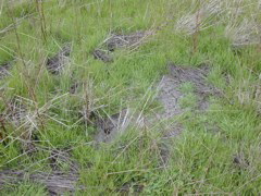 DSCN1796.JPG