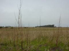 DSCN1797.JPG