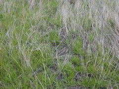 DSCN1799.JPG