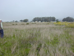 DSCN1800.JPG