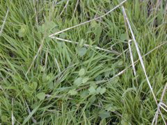 DSCN1801.JPG
