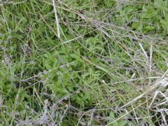 DSCN1802.JPG