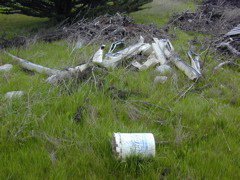 DSCN1722.JPG