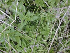 DSCN1803.JPG