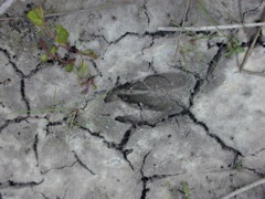 DSCN1804.JPG
