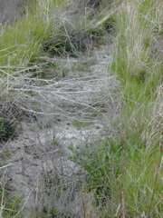 DSCN1806.JPG