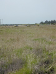 DSCN1807.JPG