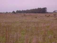 DSCN1809.JPG
