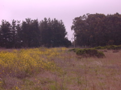 DSCN1810.JPG