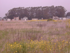 DSCN1811.JPG